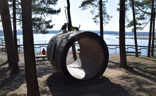 23_Mergakalnio regykla (2).jpg